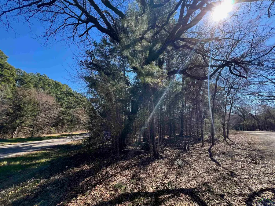 TBD FM 1521, Pittsburg, TX 75686 - #2
