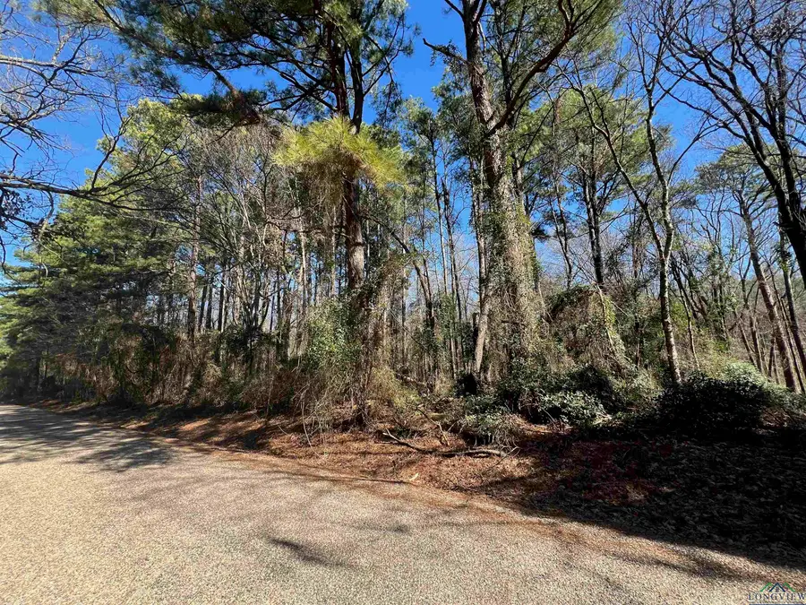 TBD CR 2314, Pittsburg, TX 75686 - #2