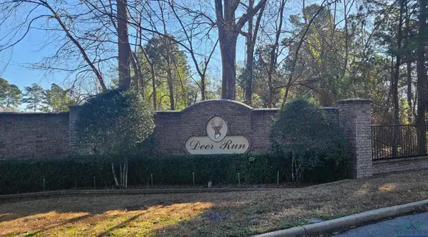 13311 White Tail Drive, Tyler, TX 75707