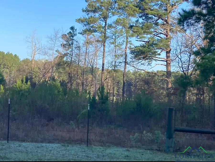 15165 N CR 176, Kilgore, TX 75662 - Image #2