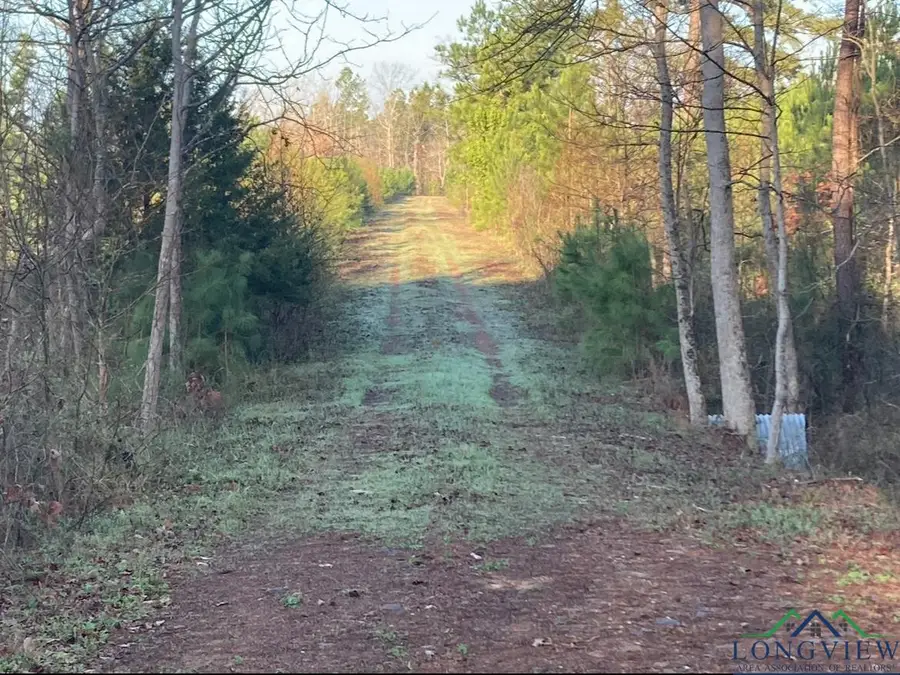 15165 N CR 176, Kilgore, TX 75662 - Image #3