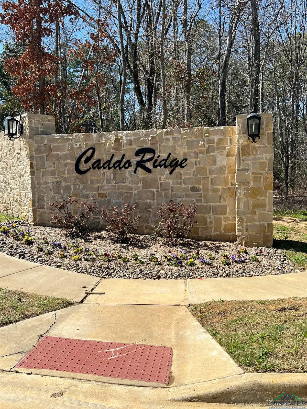 9295 Caddo Ridge Cove, Tyler, TX 75703 - #1
