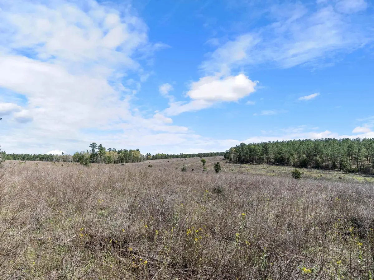 TBD Trinity Rd, Jefferson, TX 75657 - Image #1