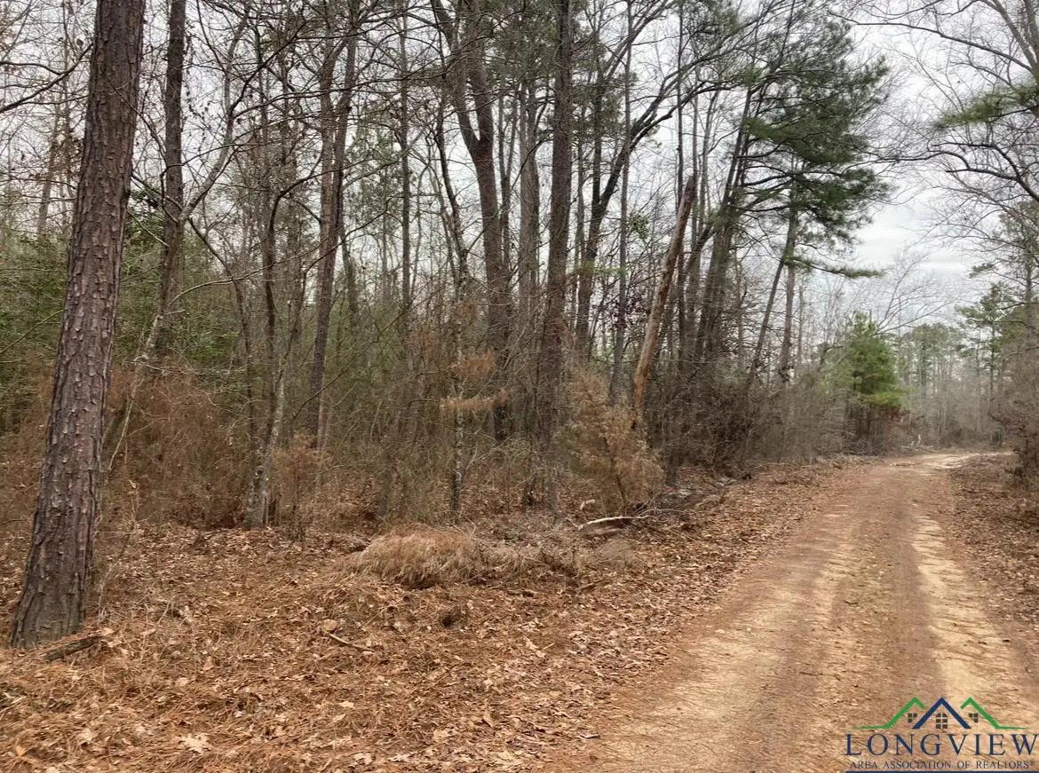 County Road 1579, Hughes Springs, TX 75656 - Image #1