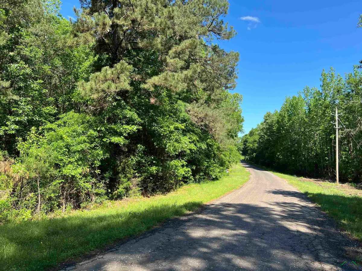 TBD County Road 127, Gary City, TX 75643 - Image #1