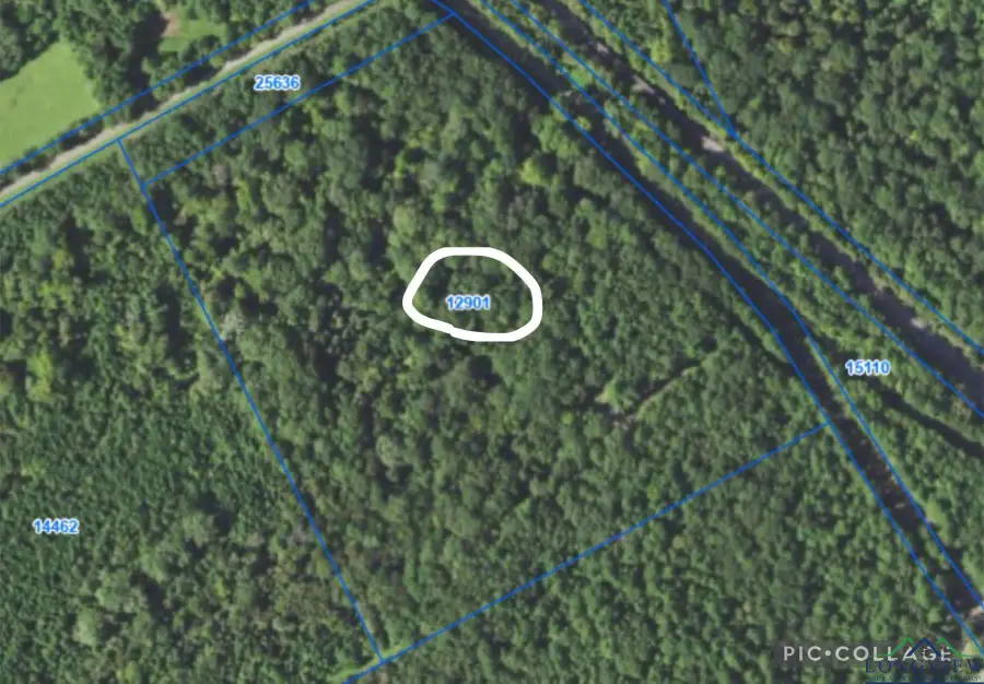 TBD County Road 127, Gary City, TX 75643 - Image #2