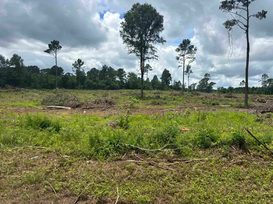 TBD CR 3665, Queen City, TX 75572 - Image #3