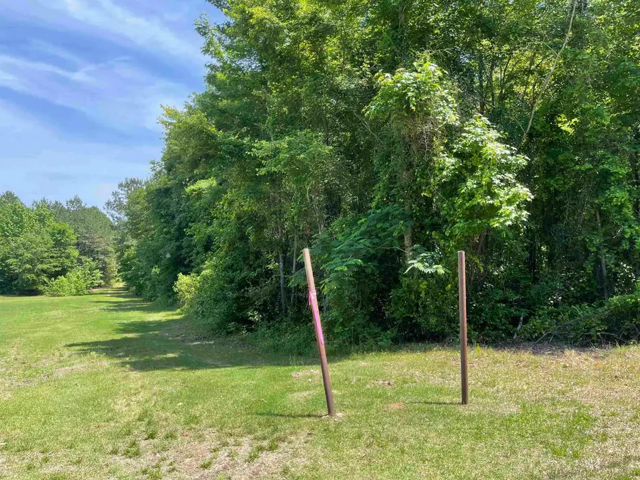 TBD Lindsey Lane, Atlanta, TX 75551-0865 - #2