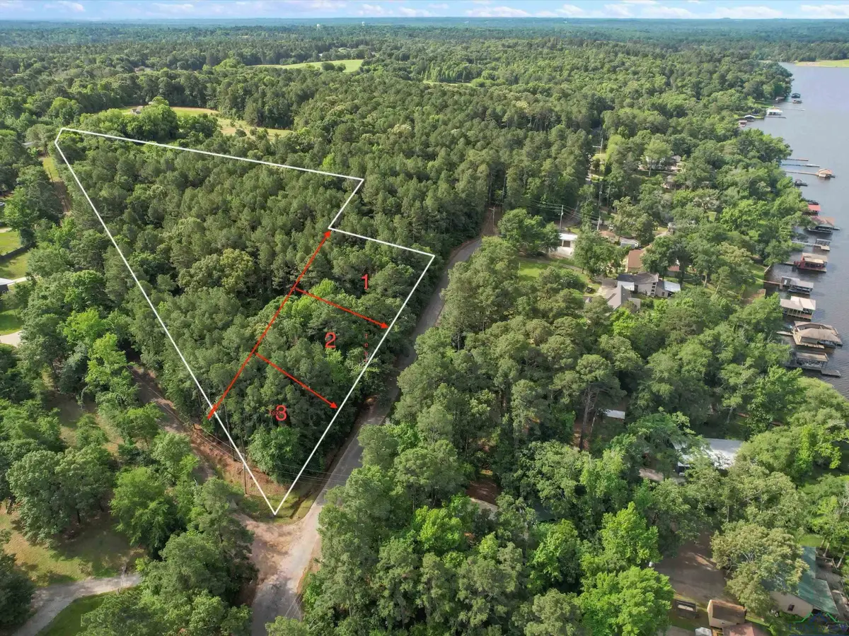 TBD Lot 3 E Lake Dr., Gladewater, TX 75647 - #1