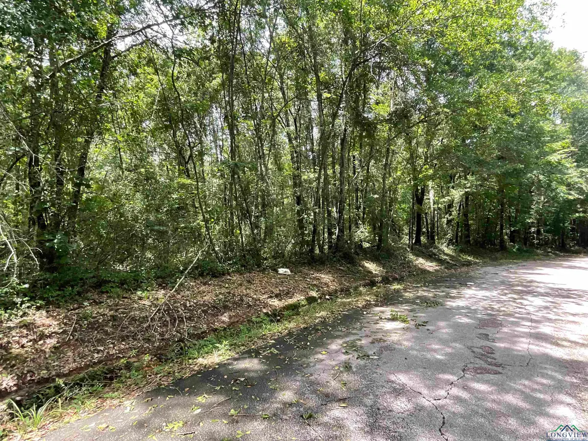 TBD CR 110, Carthage, TX 75693 - Image #1