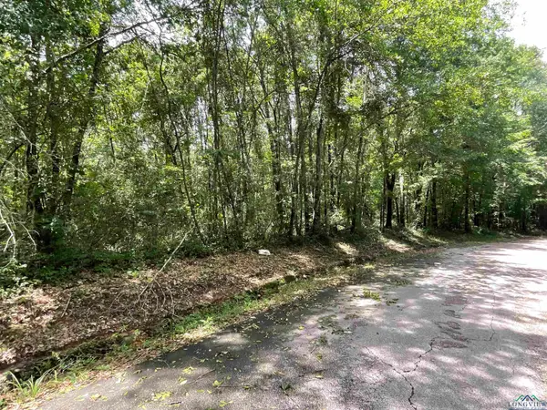 TBD CR 110, Carthage, TX 75693