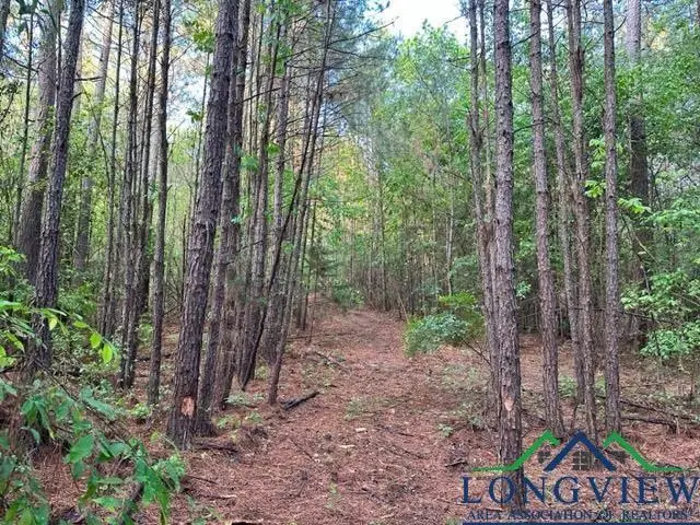 6145 Private Road 2234, Gilmer, TX 75645 - Image #1