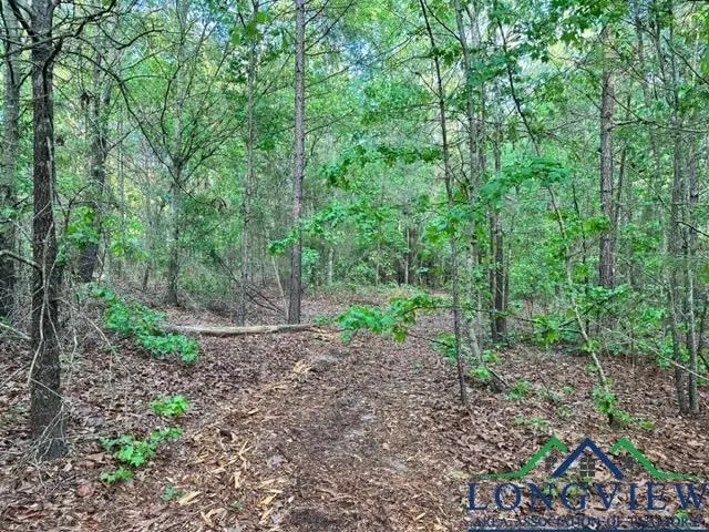 6145 Private Road 2234, Gilmer, TX 75645 - Image #3