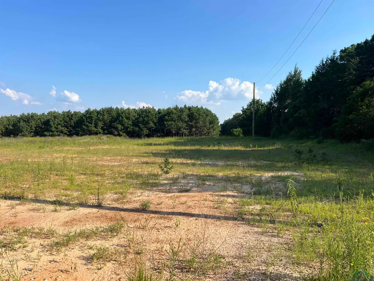 Lot 11 Jacklyn Ln., Diana, TX 75640 - Image #1