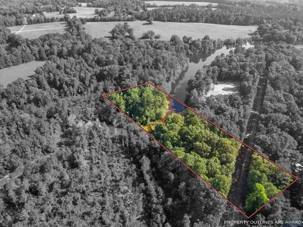 TBD HYDRANGEA RD E/SID, Ore City, TX 75683