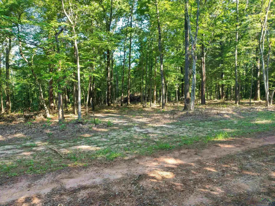 TBD HYDRANGEA RD E/SID, Ore City, TX 75683 - Image #3