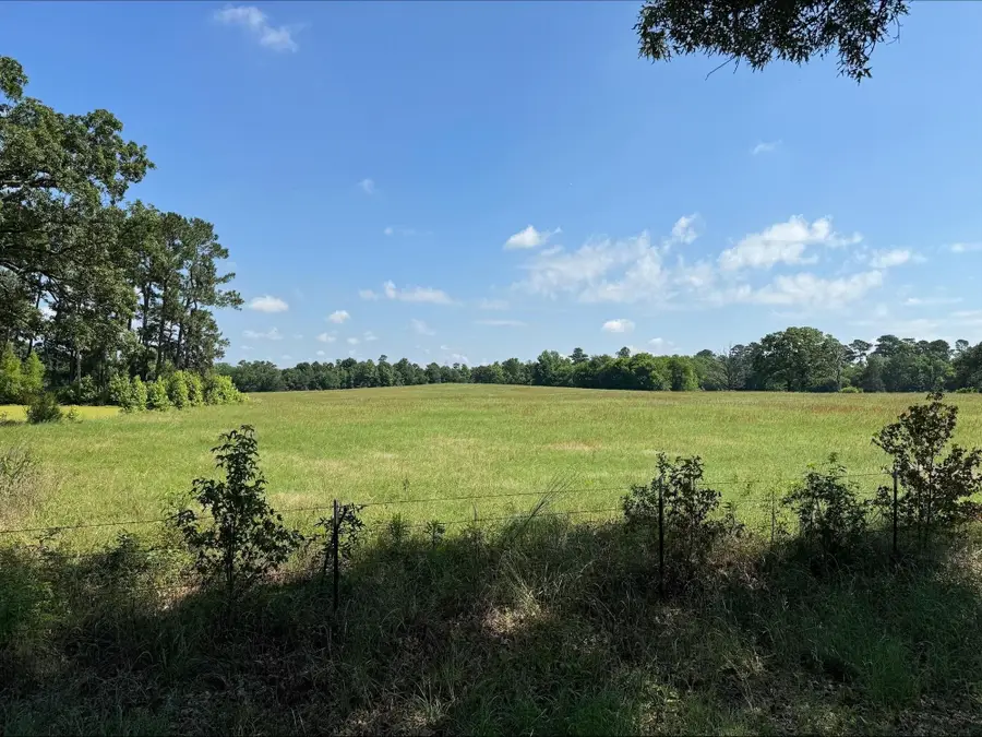 983 County Road 4200, Daingerfield, TX 75638-0000 - Image #3