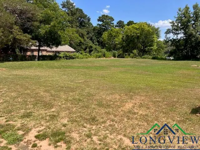 105 Martin St, Lone Star, TX 75668 - Image #3