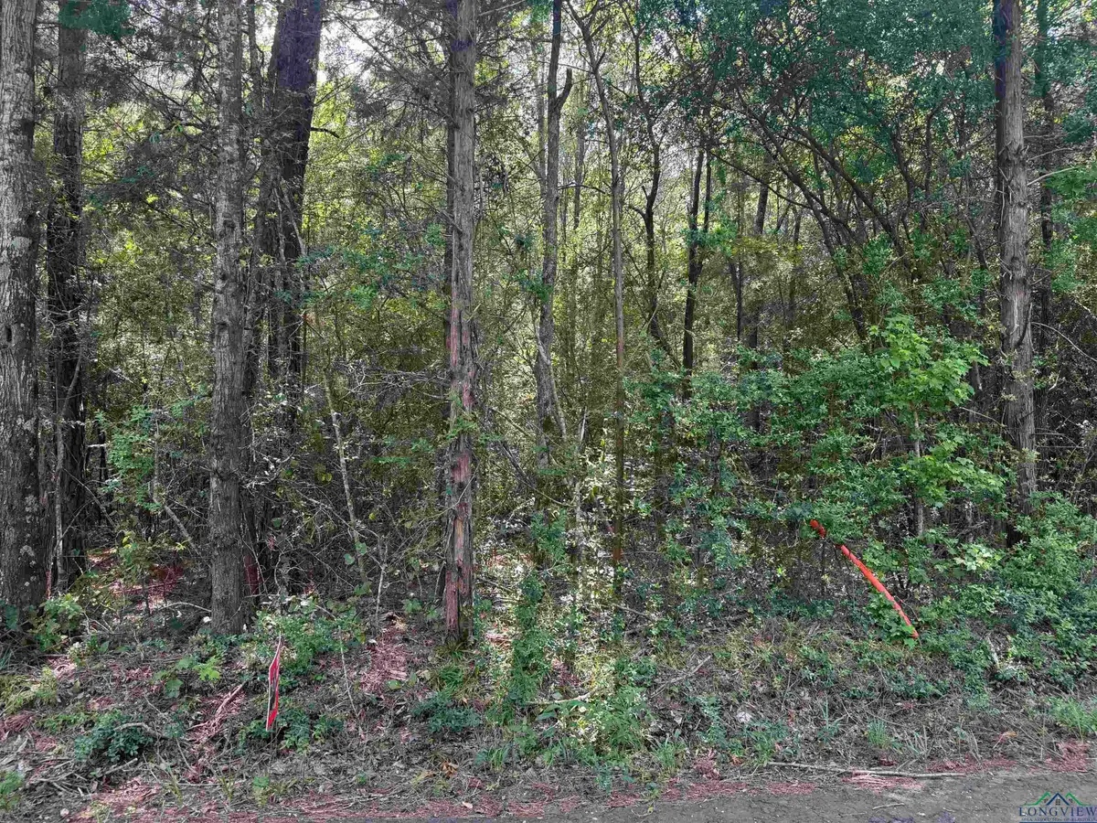 TBD 44 acres CR 364 S, Henderson, TX 75654 - Image #1