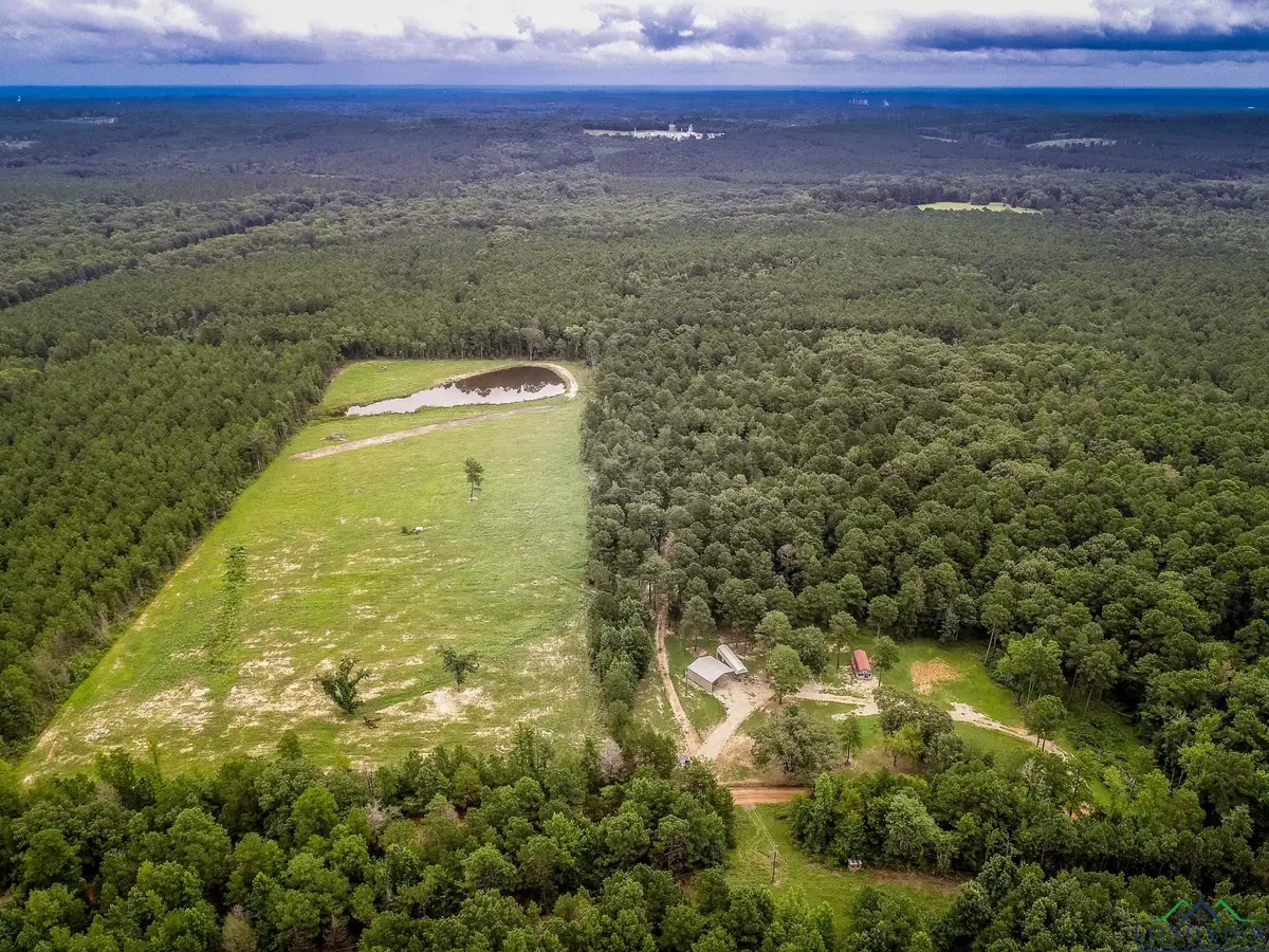 1600 JOSEY TAYLOR RD, Avinger, TX 75630 - Image #1