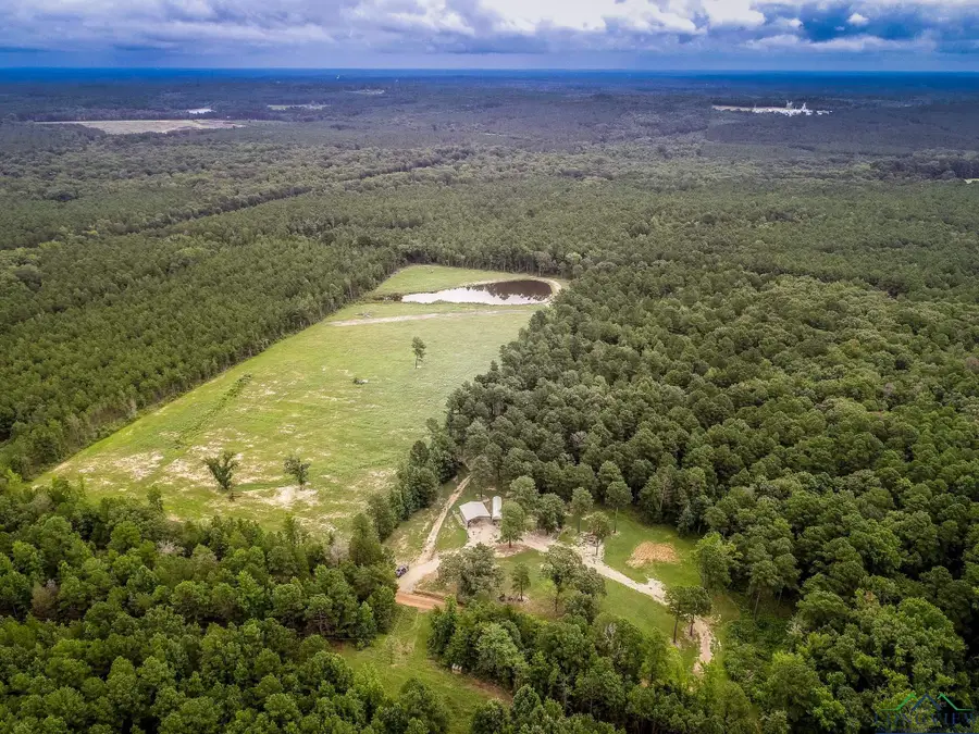 1600 JOSEY TAYLOR RD, Avinger, TX 75630 - Image #2