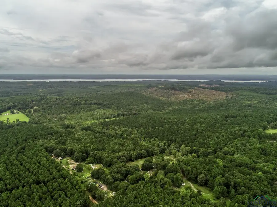 1600 JOSEY TAYLOR RD, Avinger, TX 75630 - Image #3