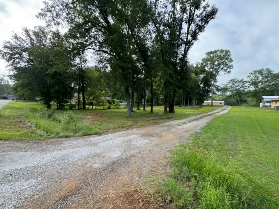 116 Leisure Ln, Whitehouse, TX 75791 - Image #3