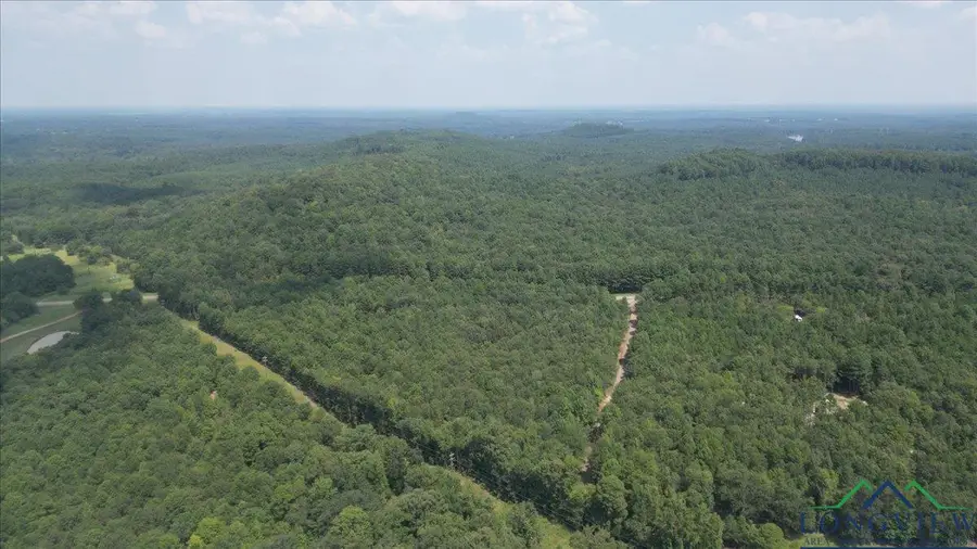 TBD Lot 2 Cactus Rd, Pittsburg, TX 75686 - Image #3