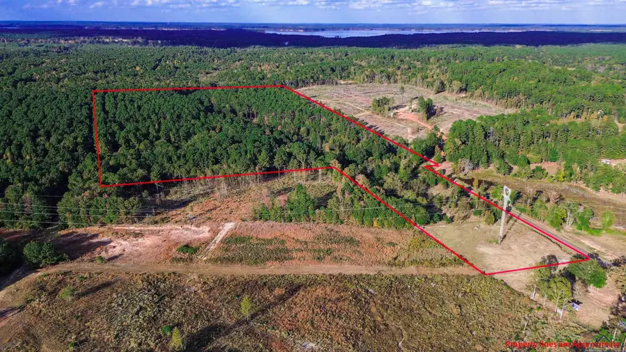 TBD W Liberty Rd, Harleton, TX 75651-0000 - Image #3