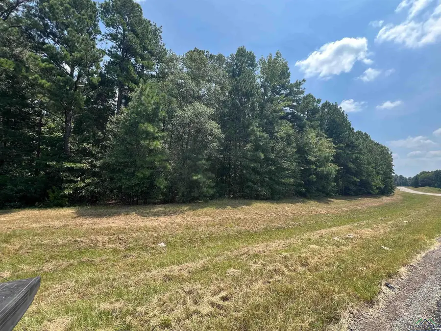 TBD FM 1520, Pittsburg, TX 75686 - #2