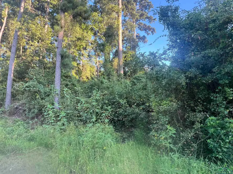 TBD Applewood Trail, Gilmer, TX 75645 - Image #2