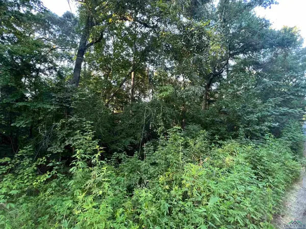 TBD Cottonwood Trail, Gilmer, TX 75645