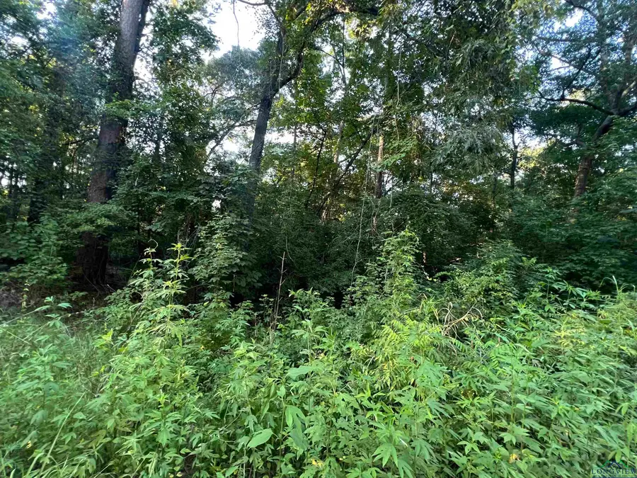 TBD Cottonwood Trail, Gilmer, TX 75645 - Image #2