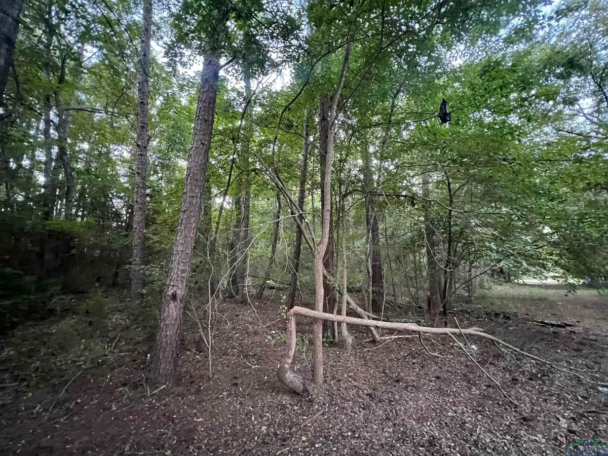 TBD Cactuswood Road, Gilmer, TX 75645 - Image #1