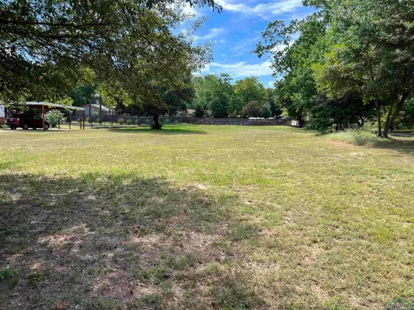 TBD N Main Street, Winnsboro, TX 75494