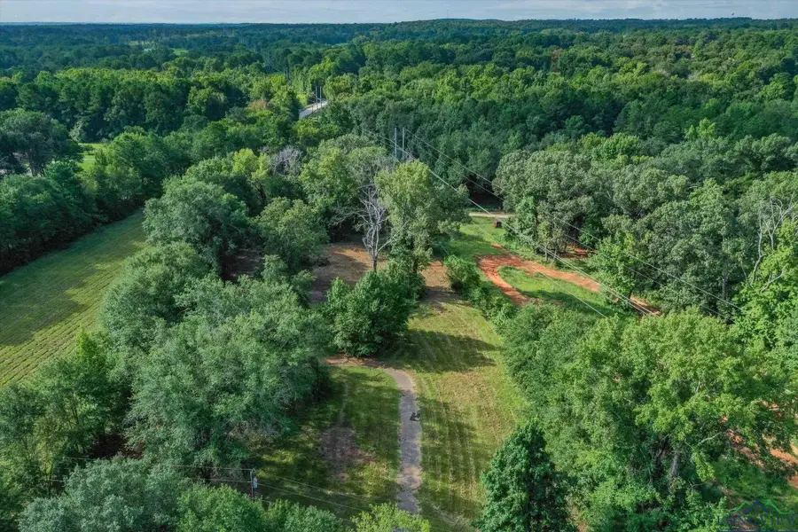 0 Willingham Rd Lot 4, Whitehouse, TX 75791 - Image #2