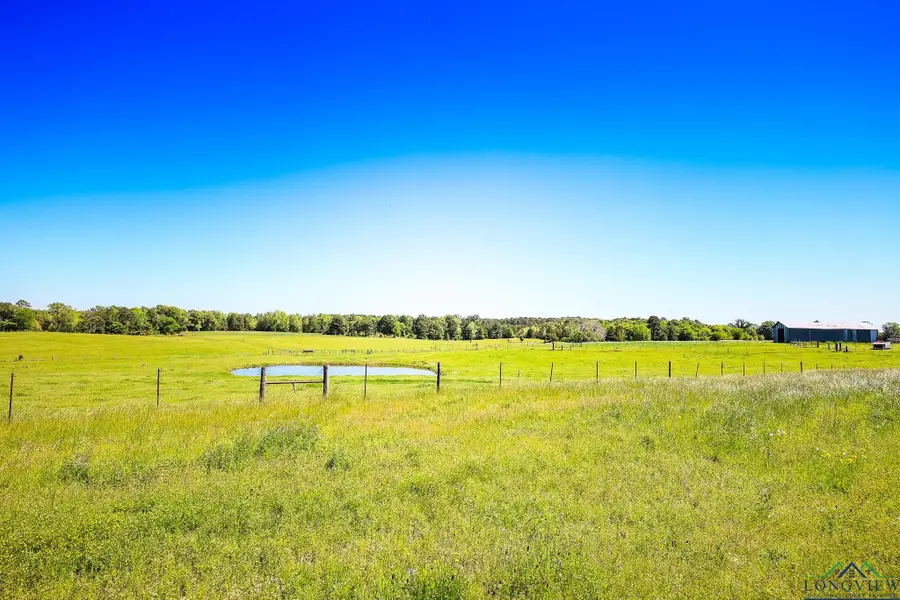 137 AC FM 3359, Carthage, TX 75633 - Image #2