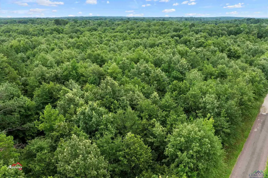 TBD Five Notch Rd., Marshall, TX 75670 - Image #3