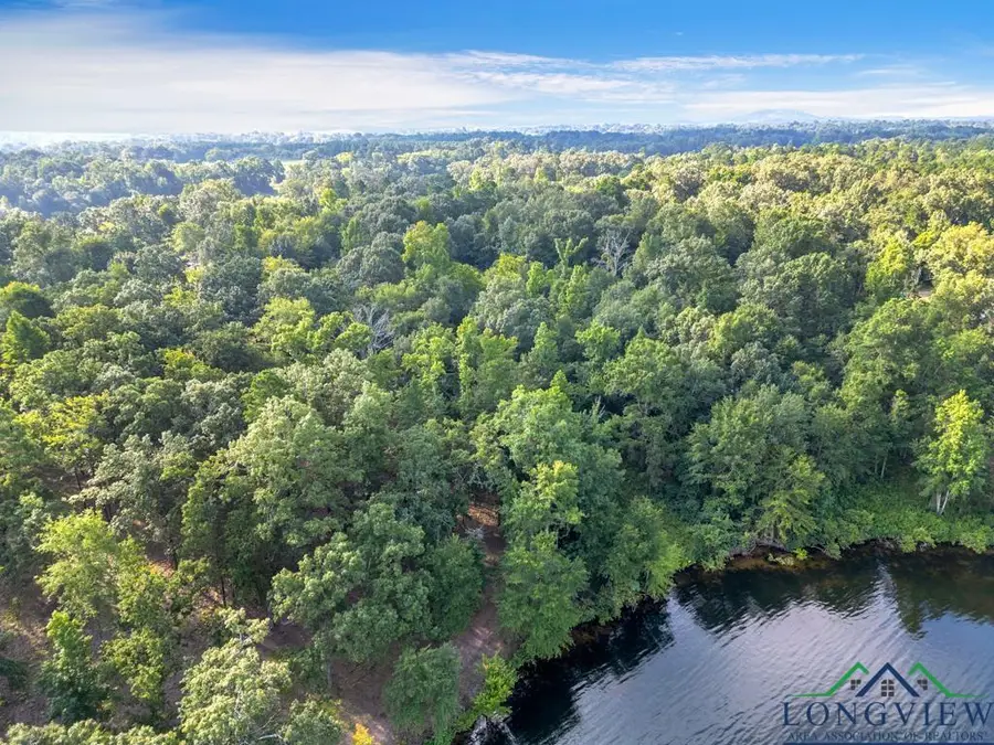 Lot 44 Katie Lane, Gilmer, TX, USA, Gilmer, TX 75644 - Image #2