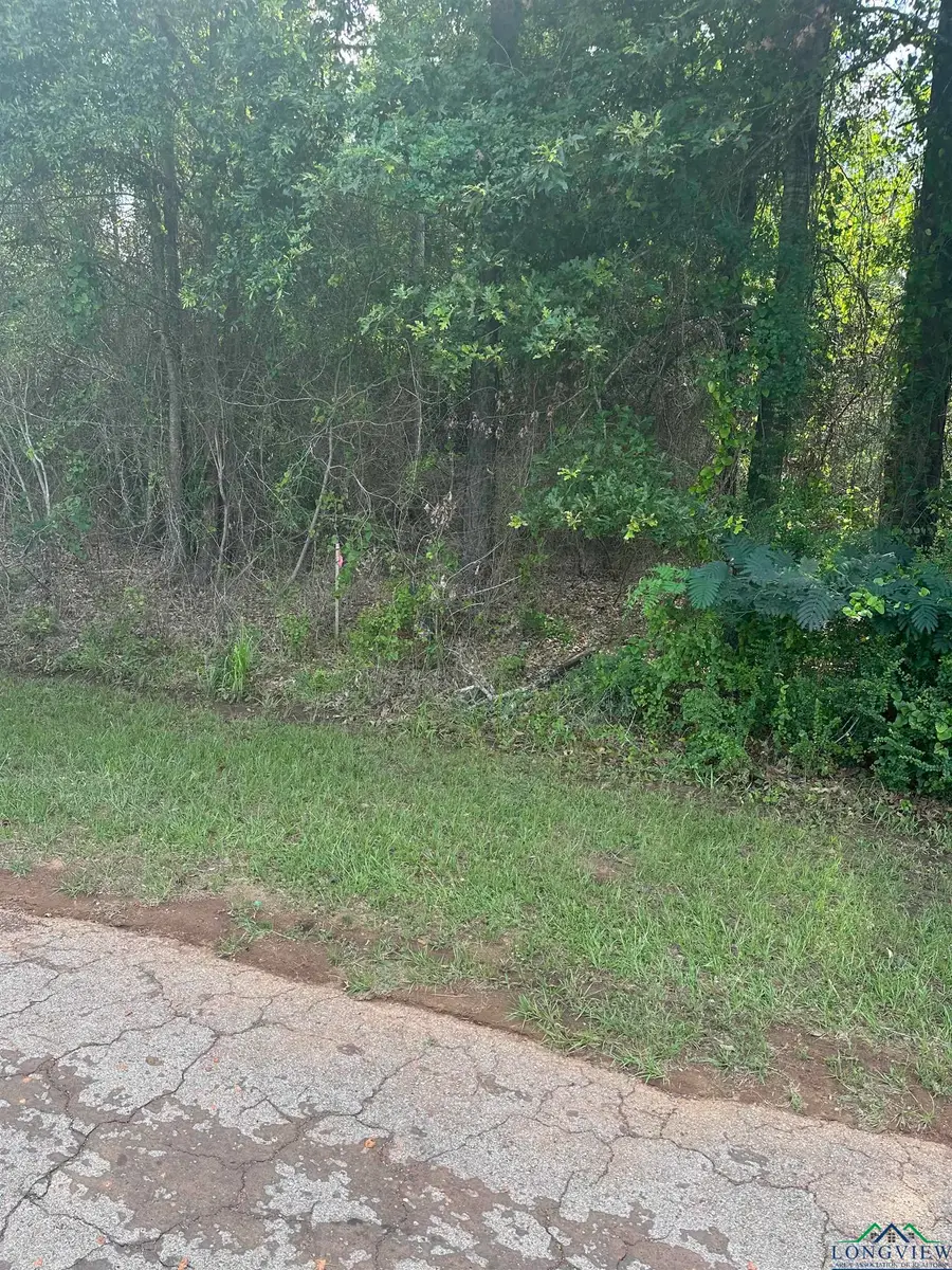 TBD Cooks Rd, Marshall, TX 75670-0000 - Image #2