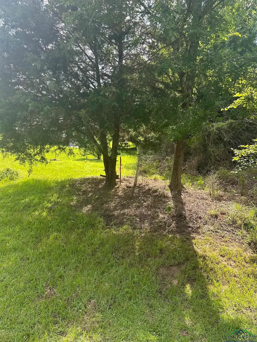 TBD Cooks Rd, Marshall, TX 75670-0000 - Image #3