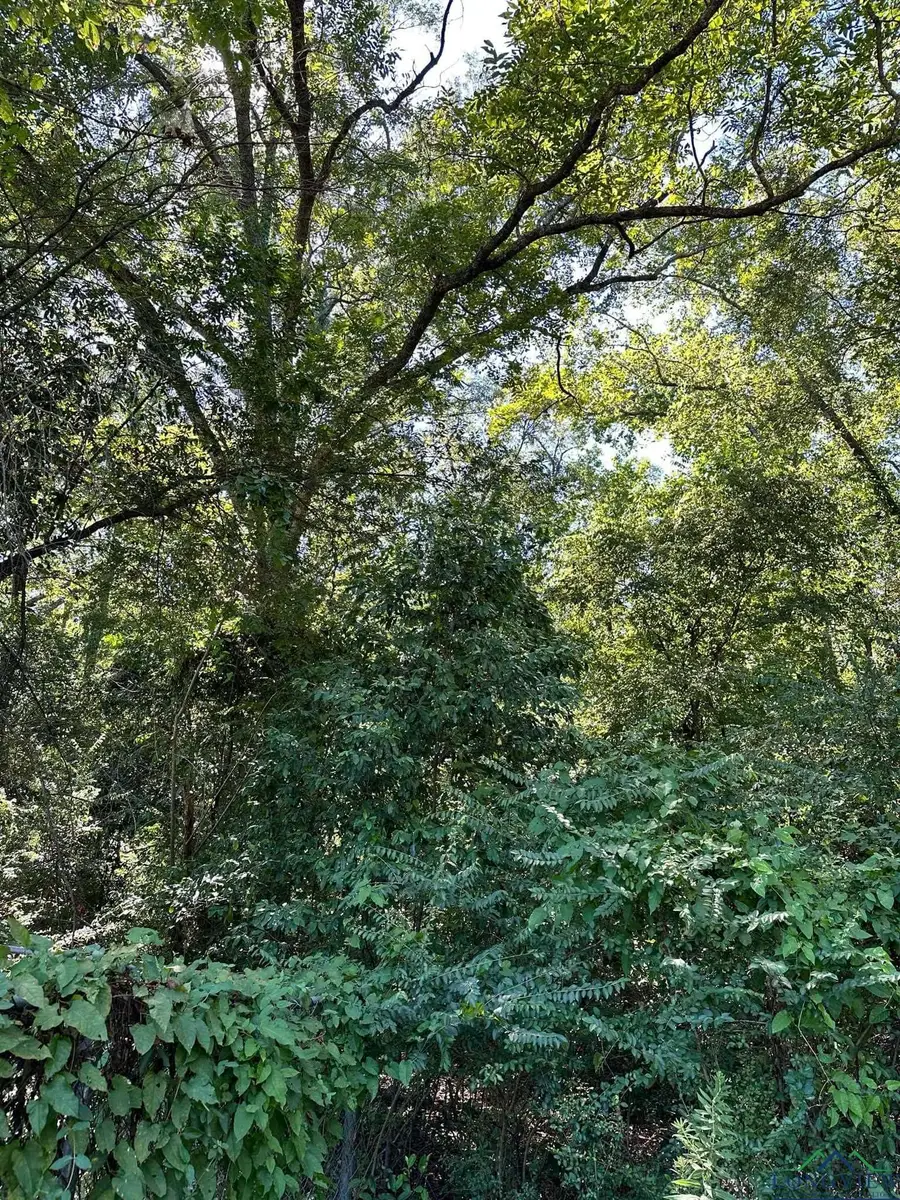 TBD Friou, Jefferson, TX 75657 - Image #2