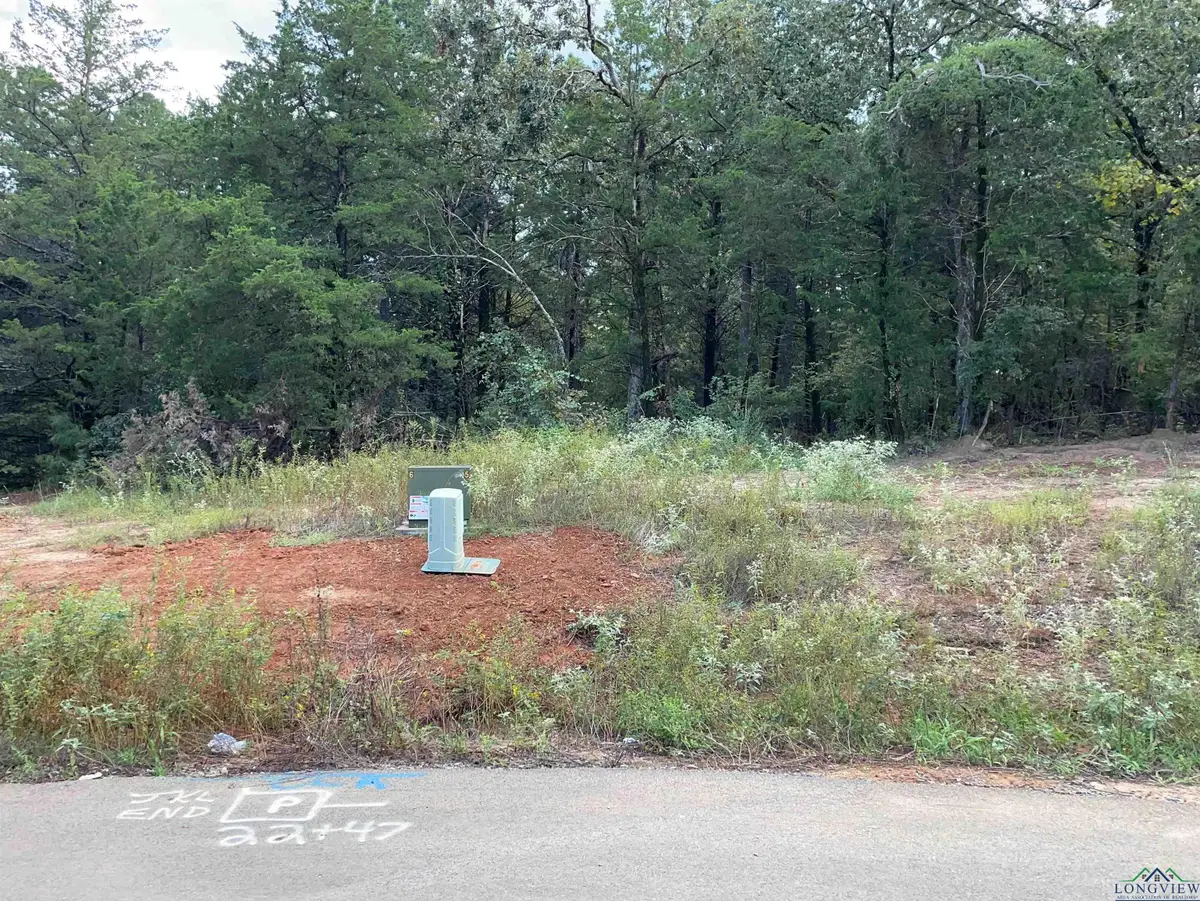 Tbd Cedarpark Place Lot 21, Lindale, TX 75771 - #1
