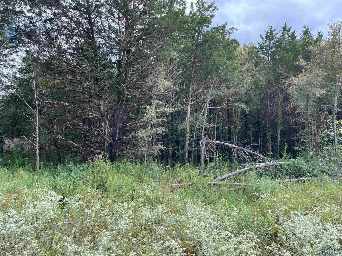 Tbd Cedarpark Place Lot 28, Lindale, TX 75771 - Image #1