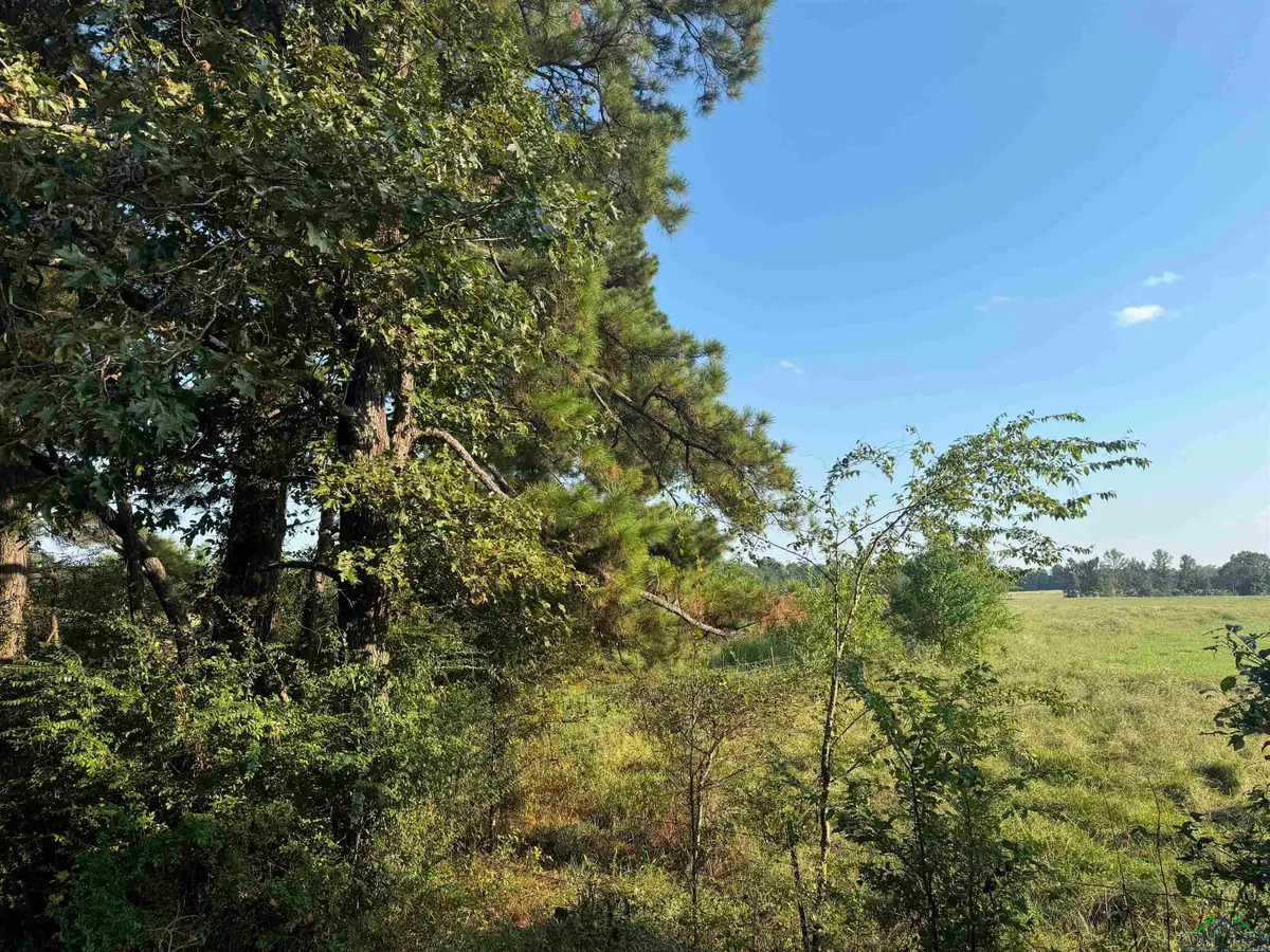 TBD Candyman Rd, Marshall, TX 75692 - Image #1