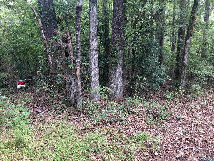 County Road 367 & 355, Henderson, Henderson, TX 75652 - Image #3