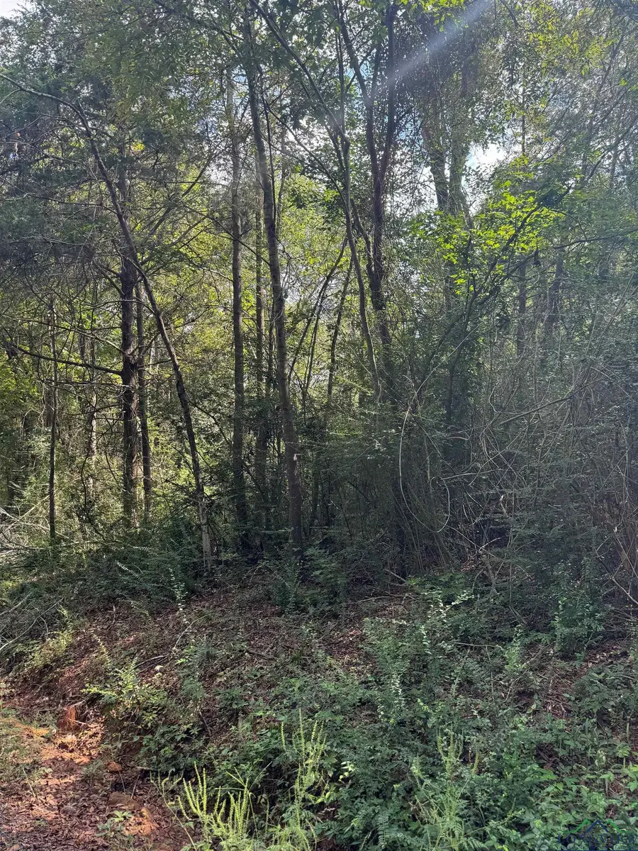 TBD CR 115D, Overton, TX 75684 - Image #2