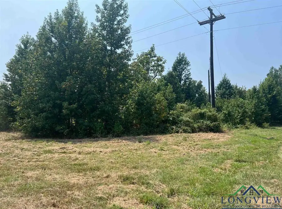 TBD FM 1402, Mount Pleasant, TX 75455 - Image #2