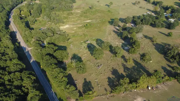 TBD FM-2208, Harleton, TX 75651