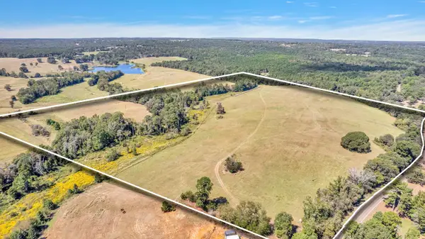 0 FM 19, Palestine, TX 75803